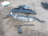 5YFB4MDE1TP****** Destrozados 2026 Toyota Corolla en Estado de Massachusetts