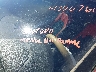 KM8J3CA41HU****** Salvage 2017 Hyundai Tucson