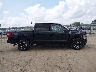 1FTFW1E51MK****** Used 2021 Ford F-150 in Illinois State