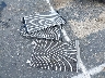 W1KAF4GB6RR****** Repairable 2024 Mercedes-Benz C-Class