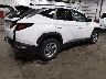 5NMJBCDE1RH****** Salvage and Wrecked 2024 Hyundai Tucson in Iowa State