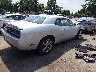 2C3CDZGG2MH****** Salvamento y Destrozados 2021 Dodge Challenger en Estado de Maryland