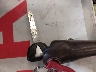 JKAERKD17PD****** Salvage 2023 Kawasaki Z400 in Oregon State
