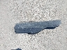 5N1BT3BB4PC****** Wrecked 2023 Nissan Rogue in Arizona State