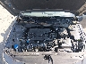 KMHLM4DG4SU****** Reparables 2025 Hyundai Elantra en Little Rock