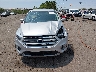 1FMCU9GD1KU****** Destrozados 2019 Ford Escape en Estado de Nuevo México
