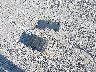 5J6YH28533L****** Wrecked 2003 Honda Element in Missouri State
