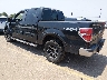 1FTFW1EV9AK****** Salvage and Repairable 2010 Ford F-150 in Denver East