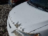 1NXBU4EEXAZ****** Salvage and Repairable 2010 Toyota Corolla in Arkansas State