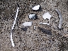 5TDJZRFH6JS****** Destrozados 2018 Toyota Highlander en Estado de Washington