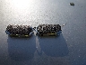 KNDJ53AU0P7****** Salvage 2023 Kia Soul in Illinois State