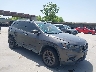 1C4PJLMX2MD****** Salvamento y Destrozados 2021 Jeep Cherokee en Dallas
