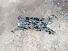 2T3F1RFV5LC****** Wrecked 2020 Toyota RAV4 in Arizona State