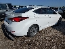 5NPDH4AE8GH****** Salvage and Wrecked 2016 Hyundai Elantra in Texas State