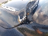 5GAKRCKD3DJ****** Used 2013 Buick Enclave in Florida State