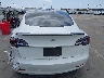 5YJ3E1EA7PF****** Salvage 2023 Tesla Model 3