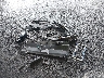 1HGCV1F37KA****** Wrecked 2019 Honda Accord in New York State