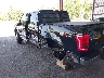 1FTEW1EG1GF****** Used 2016 Ford F-150