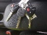 2T1BU4EEXDC****** Salvage 2013 Toyota Corolla in Kentucky State
