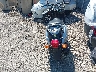 LPRSE13Y84A****** Salvage and Repairable 2004 Yamaha Vino 125 in Illinois State