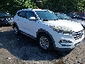KM8J33A40HU****** Salvage and Wrecked 2017 Hyundai Tucson in Greensboro