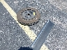 5XYP6DGC8PG****** Wrecked 2023 Kia Telluride in Florida State