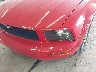 1ZVFT84N865****** Salvamento y Reparables 2006 Ford Mustang en Estado de Nueva York