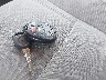 1GKKRPKD1FJ****** Salvamento 2015 GMC Acadia en Estado de Maryland
