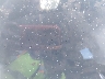 5YJYGDEE7MF****** Salvage 2021 Tesla Model Y