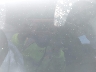 5YJYGDEE7MF****** Repairable 2021 Tesla Model Y