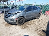 3GNAXHEGXRL****** Used and Repairable 2024 Chevrolet Equinox in Baltimore