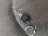 1G4HP57296U****** Salvage 2006 Buick Lucerne in Minnesota State