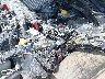 JF1GV7E69EG****** Salvamento y Reparables 2014 Subaru Impreza WRX en Estado de Indiana