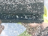 YV4L12RL4R1****** Used 2024 Volvo XC60 in Pulaski
