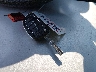 5XYZT3LB8HG****** Repairable 2017 Hyundai Santa Fe in Colorado Springs