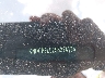 KNDCP3LE2S5****** Used 2025 Kia Niro in Pensacola