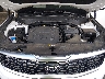 5XYP34HC0MG****** Repairable 2021 Kia Telluride in Jacksonville