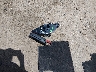 19XZE4F9XLE****** Wrecked 2020 Honda Insight in Texas State