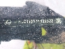 JTHGZ1E22P5****** Used 2023 Lexus IS 350