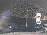 4T1DAACK7SU****** Salvage 2025 Toyota Camry Hybrid in Albuquerque
