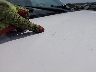 1FTSW31F5XE****** Wrecked 1999 Ford F-350 in Missouri State