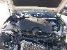 WA1FVBF18PD****** Reparables 2023 Audi Q8 en Miami North