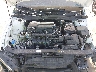 KMHLL4DG6TU****** Reparables 2026 Hyundai Elantra en Cleveland