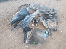JM3KFBBL4R0****** Destrozados 2024 Mazda CX-5 en Estado de Arizona