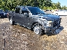 1FTEW1CP1HF****** Salvamento y Destrozados 2017 Ford F-150 en Jackson