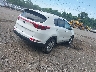 KNDPMCAC5H7****** Salvamento y Destrozados 2017 Kia Sportage en Estado de Pennsylvania