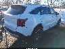 5XYRLDJC3RG****** Salvage and Wrecked 2024 Kia Sorento in New Jersey State