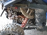 3NSNEF997SF****** Wrecked 2025 Polaris RZR in Rec Rides Online Exclusive