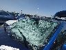 5YJYGDEE0MF****** Salvage and Repairable 2021 Tesla Model Y in Colorado State