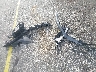 2C3CDXCT5JH****** Destrozados 2018 Dodge Charger en Estado de Florida